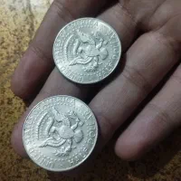 سکه نیم دلاری بزرگ نقره