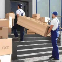 نظافت، اساس کشی و..