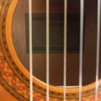 گیتار c40 عسلی