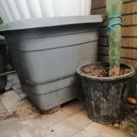 گلدان سایز خیلی بزرگ مشکی|گل و گیاه طبیعی|قم, پردیسان|دیوار