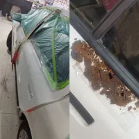 پولیش،سرامیک،لیسه گیری،بازسازی کامل 0تا100|خدمات موتور و ماشین|بندرعباس, |دیوار