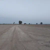 فروش زمین کشاورزی بیست هکتار|فروش دفتر صنعتی، کشاورزی، تجاری|بندرعباس, |دیوار