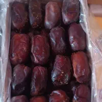 خرما مضافتی