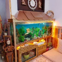 اکواریوم دو متری با کابینت هاکلاس اصل|ماهی|ارومیه, |دیوار
