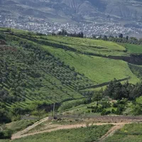 فروش فوری زمین