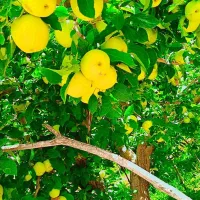 نیاز به کارگر