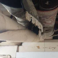 فرش و موکت|فرش|بندرعباس, |دیوار