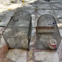 قفس|لوازم جانبی حیوانات|شیراز, پودنک|دیوار