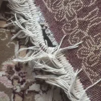فرش|فرش|زنجان, |دیوار