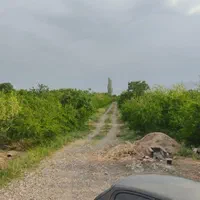 باغچه گیجه سبز