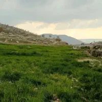 زمین-کشاورزی3هزار-متر