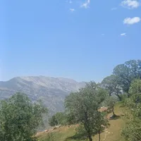 نیازمندمشاور