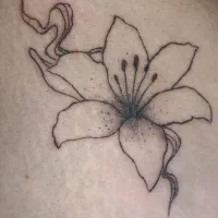 تتو فقط هزینه مواد گرفته میشه