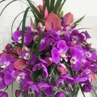 دسته گل،تاج گل، باکس گل،دسته گل عروس به قیمت عمده