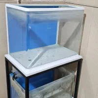 اکواریوم