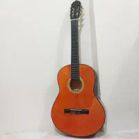 گیتار همراه کاور