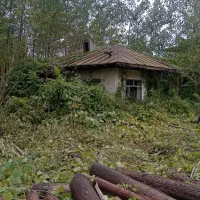 ۱۴۳۰۰متر مسکونی و باغات داخل طرح سند تک برگ