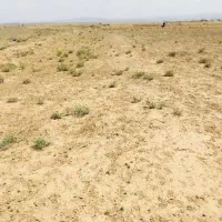 زمین-کشاورزی-سمت-بلوارسپاه