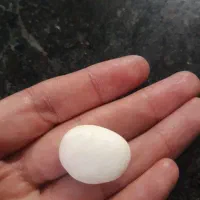 سنگ قیمتی|جواهرات|یاسوج, |دیوار