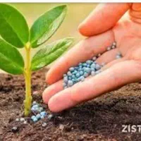 کود گوسفندی