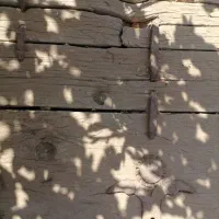 درب چوبی قدیمی وباستانی|کلکسیون اشیاء عتیقه|نیشابور, مازول|دیوار