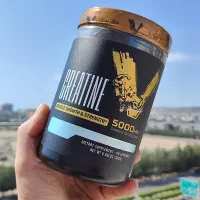 محصولات بدنسازی|تجهیزات ورزشی|فولادشهر, B4|دیوار