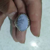 انگشتر شجر