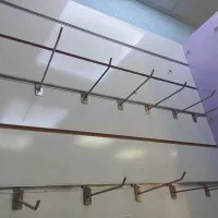 رگال