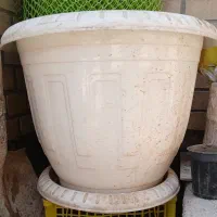گلدان بزرگ وسالم