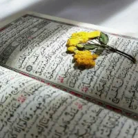 ف ا ل