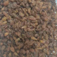 کشمش درشت آفتابی