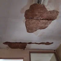 گچکار گچ کار گچکاری و لکه گیری ساختمان|خدمات پیشه و مهارت|مشهد, زیبا شهر|دیوار