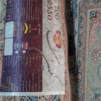 ۴ تخته فرش 6متری 700شانه نگین مشهد|فرش|مشهد, شهید معقول|دیوار