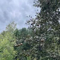 زمین-باغشهر-ی-بهاران