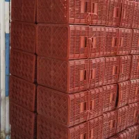 سبد ۲۵ کیلویی با کیفیت درجه یک|عمده‌فروشی|ساری, |دیوار