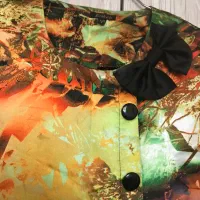 لباس مجلسی|لباس|اردبیل, |دیوار