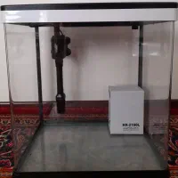 اکواریوم چوب ابنوس بخاری|ماهی|تهران, استقلال|دیوار