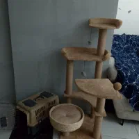 خانه درختی گربه