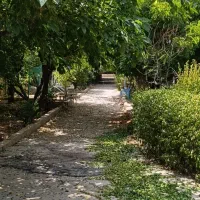 فروش باغشهری ورودی دوم صدرا مجتمع مروارید|فروش زمین و ملک کلنگی|شیراز, شهرک قمشه|دیوار