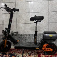 استکوتر بزرگ سال