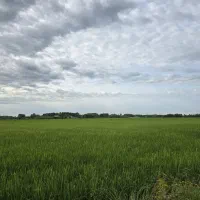 زمین مسکونی ۶۴۷ متری تولمشهر