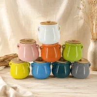 جاادویه سرامیکی مدل دیزی فانتزی(رنگارنگ)نقد واقساط