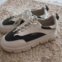 کفش|کیف، کفش، کمربند|بیرجند, |دیوار