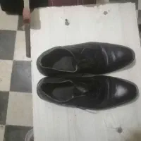 کفش مردانه نو|کیف، کفش، کمربند|شیراز, تندگویان|دیوار