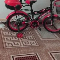 دوچرخه|دوچرخه، اسکیت، اسکوتر|دوگنبدان, |دیوار