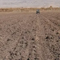 ۷۰ من زمین آبی با جی پی اس|فروش دفتر صنعتی، کشاورزی، تجاری|سرپل ذهاب, |دیوار