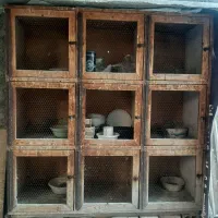 جفتگاه کبوتر