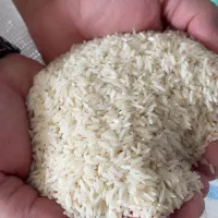 برنج هاشمی درجه یک ممتاز و سرلاشه همون برنج|خوردنی و آشامیدنی|مشهد, فرهنگ|دیوار