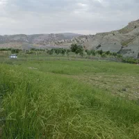 زمین آبی در گل گل ملکشاهی