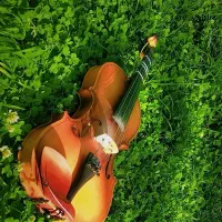 ویولن مدل VP104H